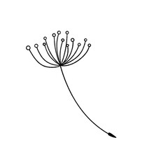 Dandelion&rsquo;s seed