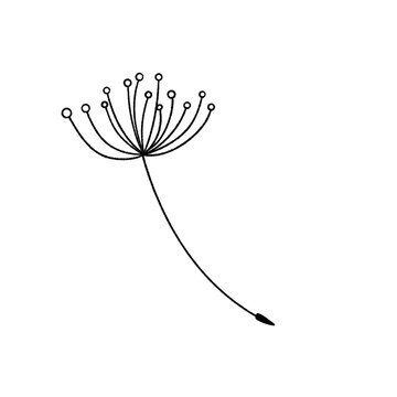 Dandelion&rsquo;s seed