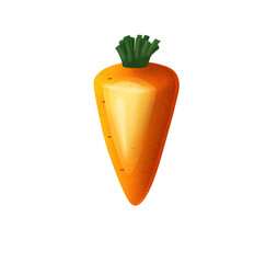 Carrot isolated on transparent background