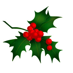 Christmas holly berries on transparent background