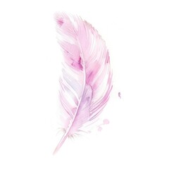 An elegant watercolor feather painted in a gradient