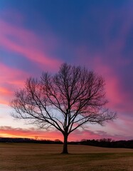 Fototapeta na wymiar Twilight Symphony: Leafless Tree Amidst Radiant Purple and Pink