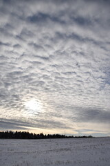 Clouds in a Winter Sky, Sainte-Apolline, Québec, Canada