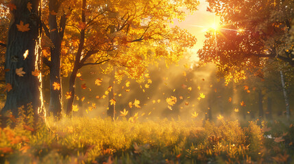 Fototapeta na wymiar Autumn trees on the forest meadow at sunset. 