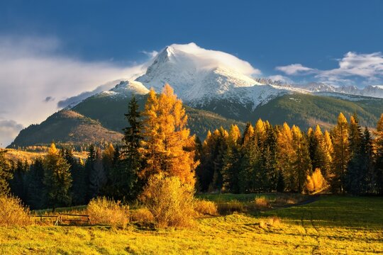 Amazing mountain landscape Krivan peak, symbol of Slovakia in High Tatras mountains. Mountain forest. Autumn walks in nature.