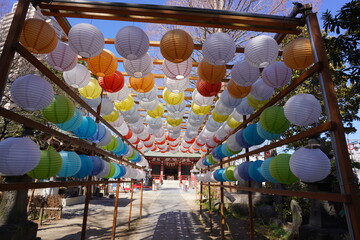 日本の電灯の雛祭り 埼玉県越谷香取神社の雛飾り