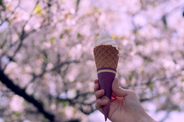 桜の前で食べるソフトクリーム