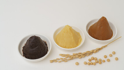 赤味噌や白味噌など様々な種類の味噌・日本の味噌イメージ｜原材料の大豆と米(稲穂)