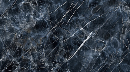 Luxurious Black Marble Background with Striking Veins