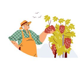 Old man in hat care about vineyard flat style, vector illustration