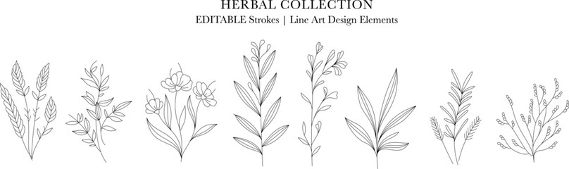 Fototapeta premium Herbal Collection. Editable line art monochrome Design. Set of linear floral designs, medicine flowers and plants