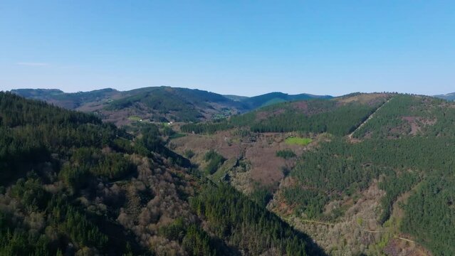 Aerial footage of dense green woods on mountains on a sunny day in Fonsagrada, Lugo, Galicia, Spain