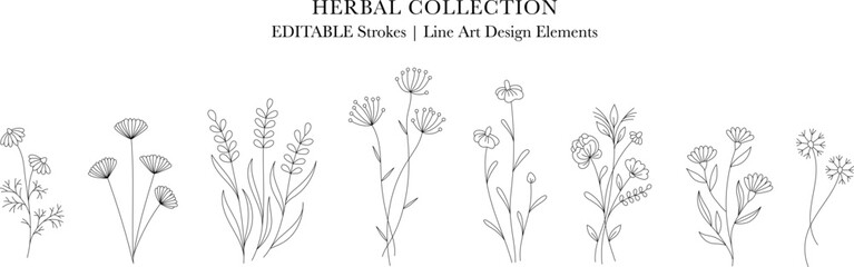 Herbal Collection. Editable line art monochrome Design. Set of linear floral designs, medicine flowers and plants