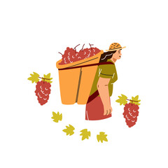 Farmer or gardener woman with basket behind back full of ripe grapes vector flat illustration, harvesting of wine grapes