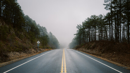 Foggy road in the fog with tall trees surrounding.