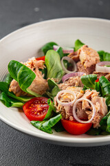 tuna salad, tomato, green leaf lettuce, onion healthy eating cooking appetizer meal food snack on the table copy space food background rustic top view