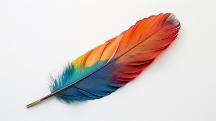 Colorful Feather with Warm Tones on White
