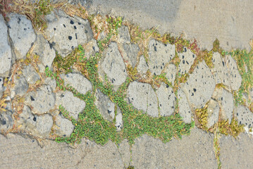Cement seamless texture of the floor . The surface  seamless pattern.   