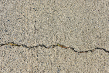 Cement seamless texture of the floor . The surface  seamless pattern.   