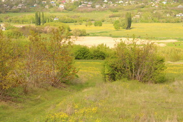 A grassy field with trees and houses in the background