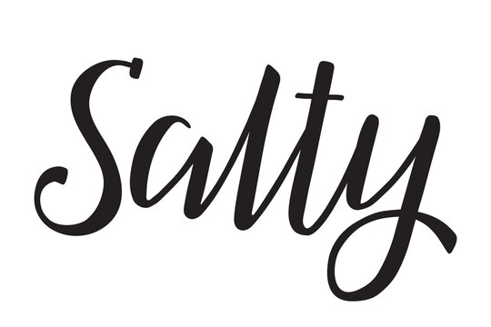 Salty. Handwritten lettering. Inscription in English. Modern brush ink calligraphy. Black isolated word on white background. Vector text. Label for salty foods and snacks.