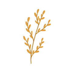 Hand drawn yellow plant, cartoon flat vector illustration isolated on white background. Concepts of autumn nature, plant and botany.