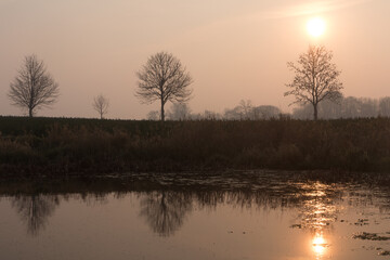 Teich am Feld mit kahlen Bäumen im Morgen Dunst.