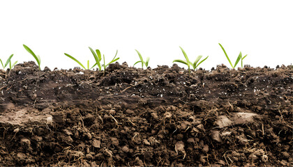 Brown soil cut out on transparent background