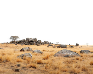 savanna landscapes with faded grass and rocks on transparent background
