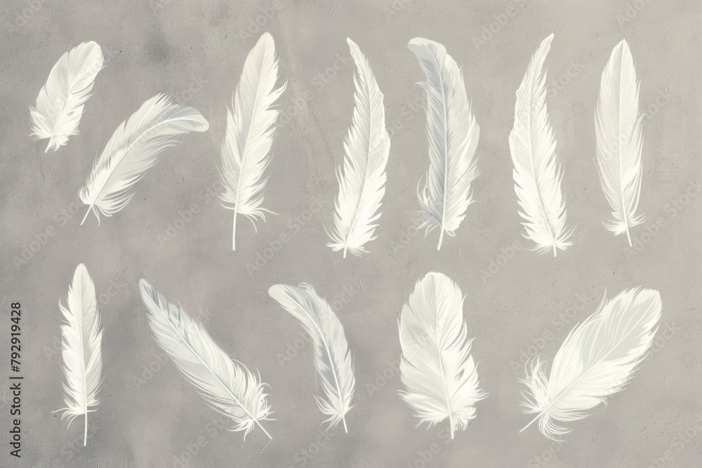 Poster a set of white feathers are arranged in a row on a grey surface