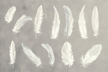 A set of white feathers are arranged in a row on a grey surface