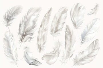 Row of white feathers arranged on a grey surface. Elegant and minimalist feather display