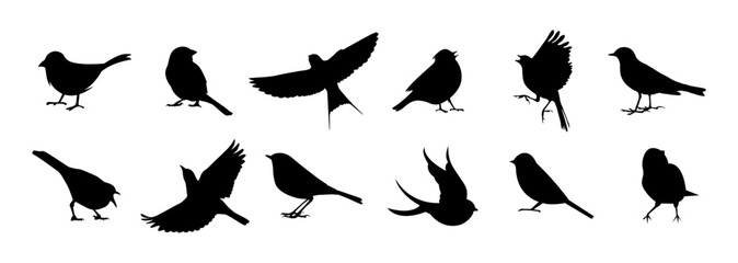 Set of blackbird silhouettes. Vector elements for design. - obrazy, fototapety, plakaty
