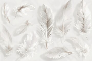 Arrangement of white feathers in a straight row on a grey surface. Clean and tranquil feather presentation