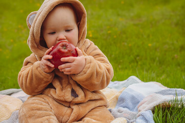 A cute little infant girl in a warm jumpsuit is sitting on a plaid on a green lawn and eating an apple
