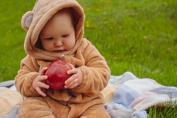 A cute little baby girl, dressed in a warm jumpsuit, is sitting on a plaid blanket on a green lawn, holding a red apple.