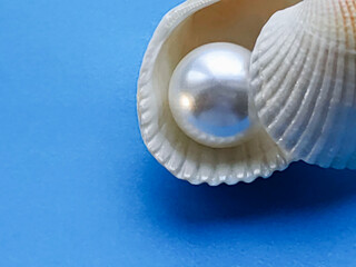 pearls in a seashell
