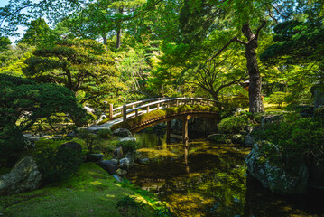 Oike niwa garden and pond of Kyoto Imperial Palace in Kyoto, Japan - obrazy, fototapety, plakaty