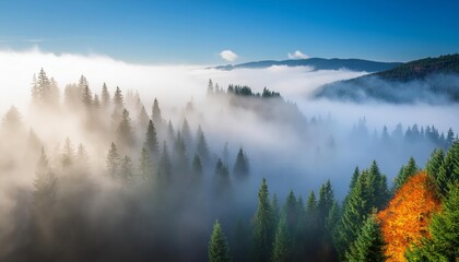 Mystical Autumn Fog in Black Forest, Germany - Enchanting Landscape with Rising Fog, , generated by AI - obrazy, fototapety, plakaty