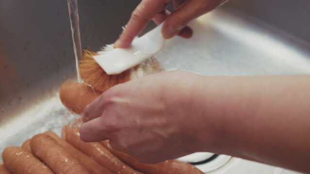 Woman fresh organic carrots with plastic brush, removing germs and pesticide residues from lemon skin with water. High quality 4k footage