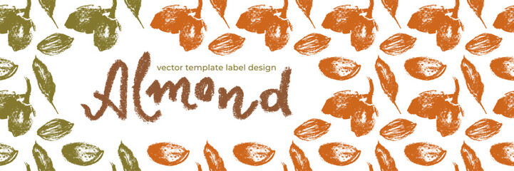 Almond banner background or label template design. Organic almond pattern with almond nuts crayon drawings. Almonds packaging or marzipan paste tag design. Vector botanical background.