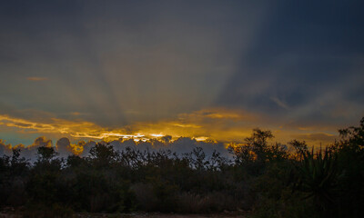 Celestial landscape at sunset over shrubby savanna in southern Africa.