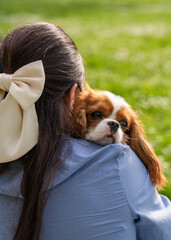 Cute woman hugging her beautiful dog Cavalier King Charles Cocker Spaniel on a walk in the park, Cocker Spaniel put his muzzle on his shoulder. Close-up portrait. Love for pets.