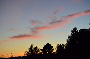 Silhouetted Serenity: Pink-Hued Clouds Above Tree-Lined Horizon
