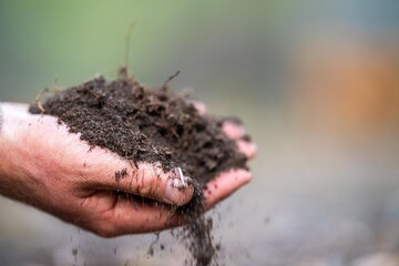 pouring soil in a test tube, farmer hold soil in hands monitoring soil health on a farm..