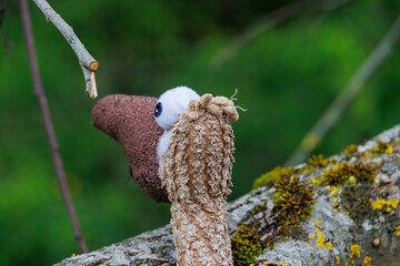 Soft toy bird on a tree trunk in the Dürrenast Heath in the city forest of the Fugger city of...