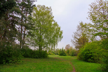 Hiking trail in the Dürrenast heathland in the city forest of the Fugger city of Augsburg