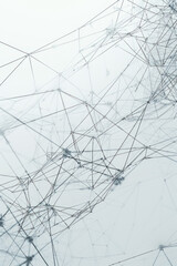 A minimalist background inspired by wireframe models used in computer graphics, featuring a series of interconnected lines and shapes forming a three-dimensional grid. 