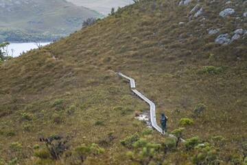 trekking in the wilderness. boardwalk walking track in a national park in tasmania australia - obrazy, fototapety, plakaty