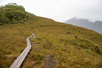 trekking in the wilderness. boardwalk walking track in a national park in tasmania australia